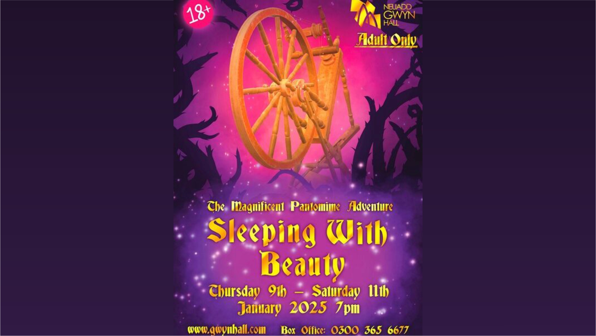 Sleeping With Beauty Adult Panto Poster